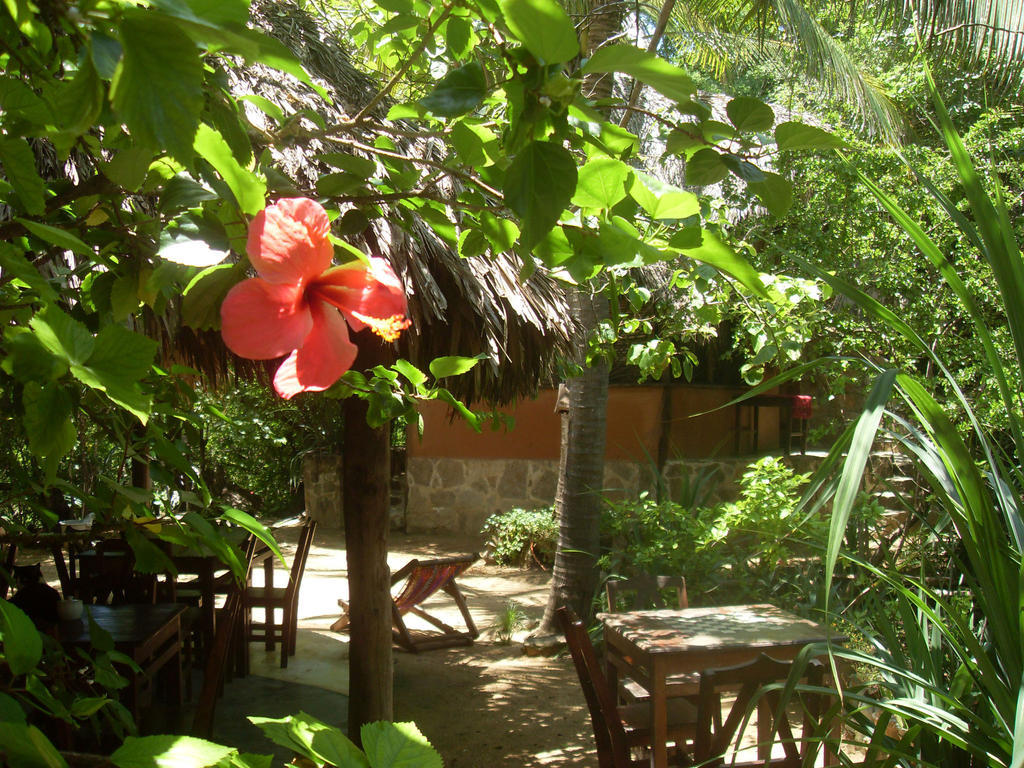 Lo Cosmico Ξενοδοχείο Zipolite Εξωτερικό φωτογραφία